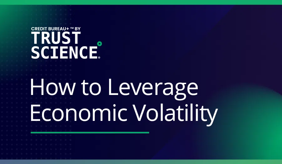 Leverage Economic Volatility